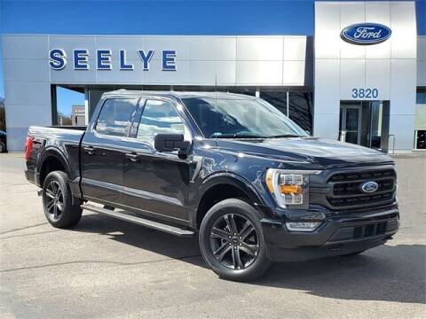 2021 Ford F-150 for sale at Seelye Truck Center of Paw Paw in Paw Paw MI