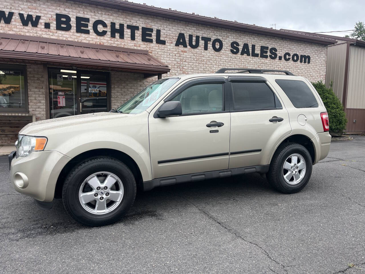Gold 2011 Ford Escape XLT XLT 4dr SUV 1