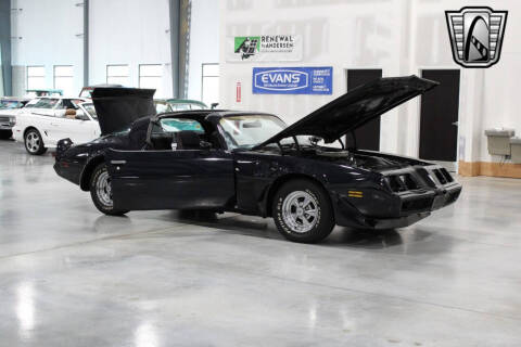 1981 Pontiac Firebird Trans Am