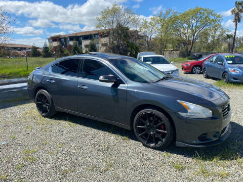 2013 Nissan Maxima for sale at Quintero's Auto Sales in Vacaville CA
