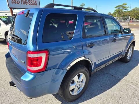 2010 Ford Escape XLT
