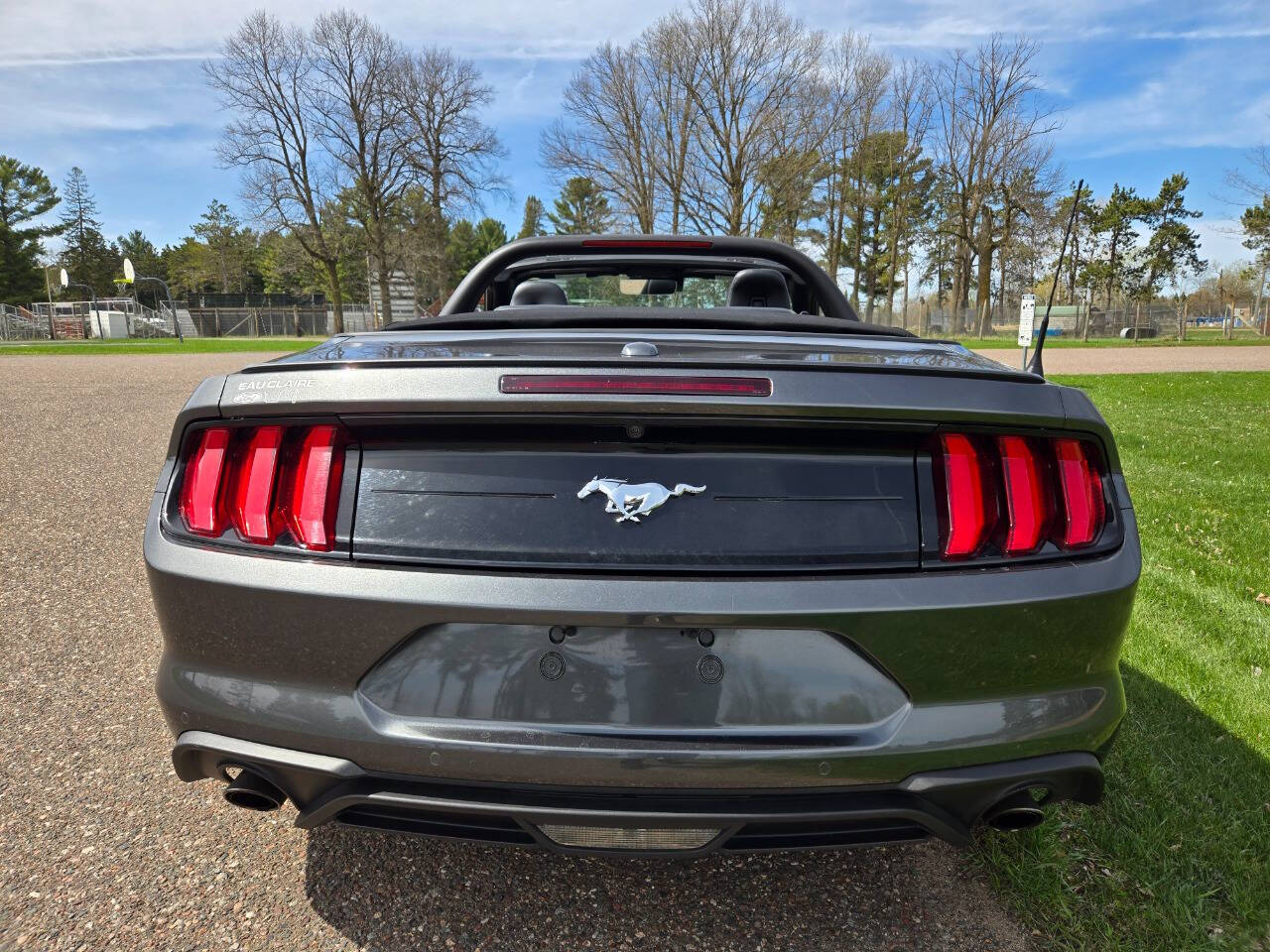 2019 Ford Mustang 14