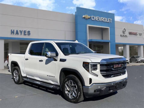 2024 GMC Sierra 1500 for sale at HAYES CHEVROLET Buick GMC Cadillac Inc in Alto GA