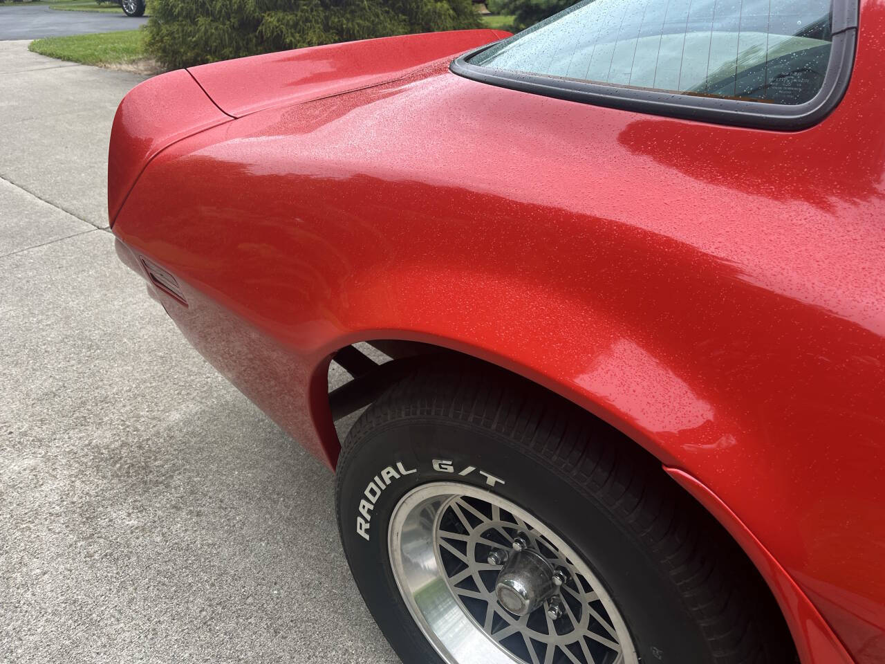 1977 Pontiac Firebird Trans Am 5