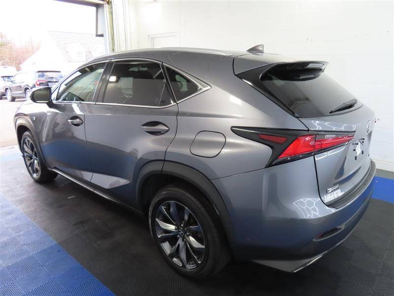 2019 Lexus NX 300 F SPORT