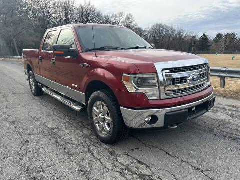 2014 Ford F-150 for sale at ELIAS AUTO SALES in Allentown PA