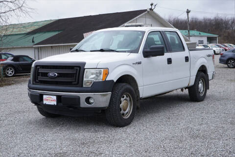 2013 Ford F-150 for sale at Low Cost Cars in Circleville OH