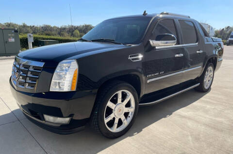 2011 Cadillac Escalade EXT for sale at Auto Liquidators of Tampa in Tampa FL