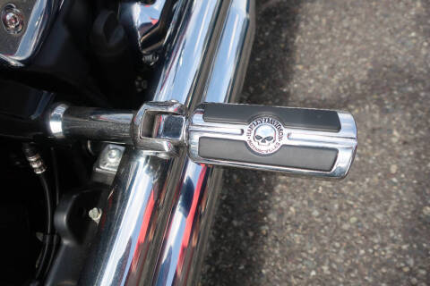 2020 Harley-Davidson FLDE