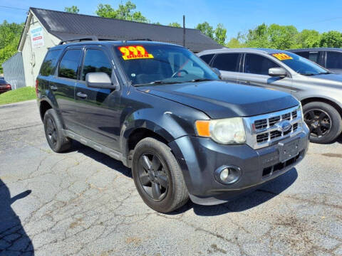 2009 Ford Escape XLT