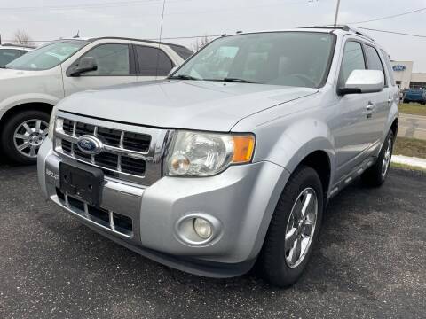 2011 Ford Escape for sale at Blake Hollenbeck Auto Sales in Greenville MI