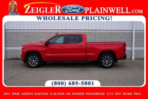 2019 Chevrolet Silverado 1500 for sale at Zeigler Ford of Plainwell- Jeff Bishop in Plainwell MI