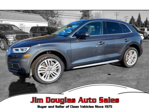 2019 Audi Q5 for sale at Jim Douglas Auto Sales in Pontiac MI