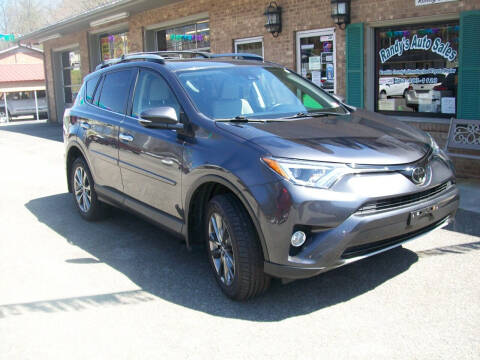 2018 Toyota RAV4 for sale at Randy's Auto Sales in Rocky Mount VA