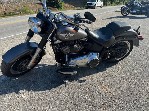 2015 Harley-Davidson FLSTFB -