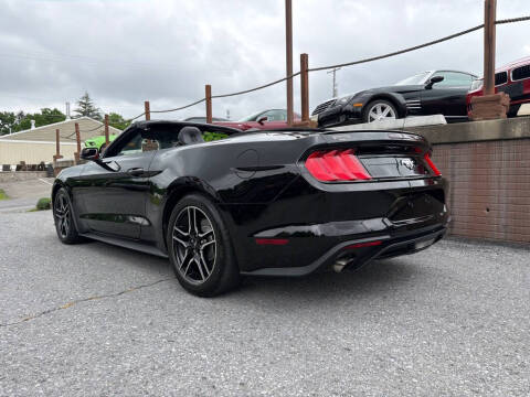 2019 Ford Mustang