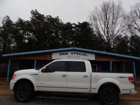 2012 Ford F-150 for sale at DRM Special Used Cars in Starkville MS