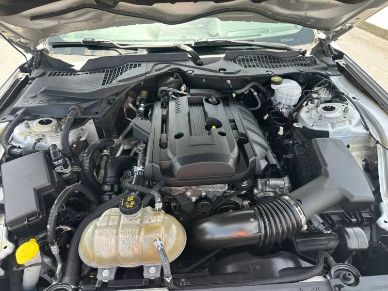 2019 Ford Mustang