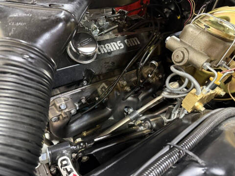 1981 Pontiac Firebird Trans Am