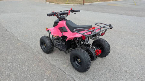 2024 TrailMaster Mini 110 Sport