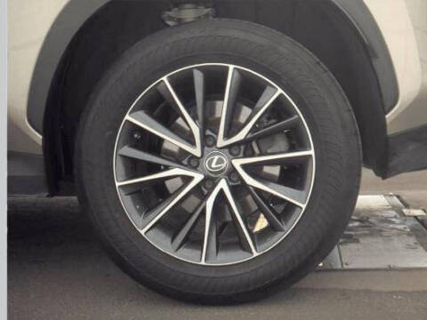 2024 Lexus NX 250 Premium