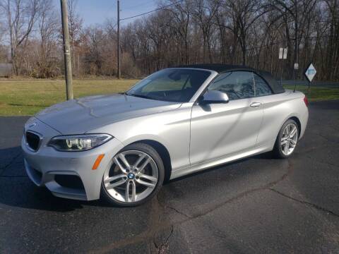 2015 BMW 2 Series for sale at Depue Auto Sales Inc in Paw Paw MI