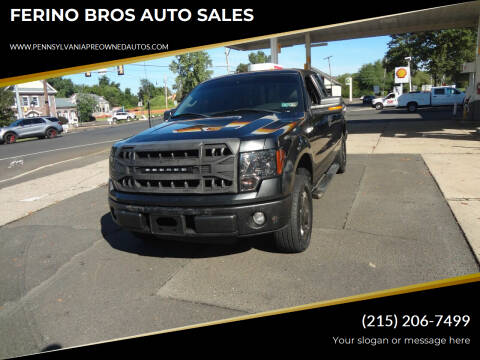 2010 Ford F-150 for sale at FERINO BROS AUTO SALES in Wrightstown PA