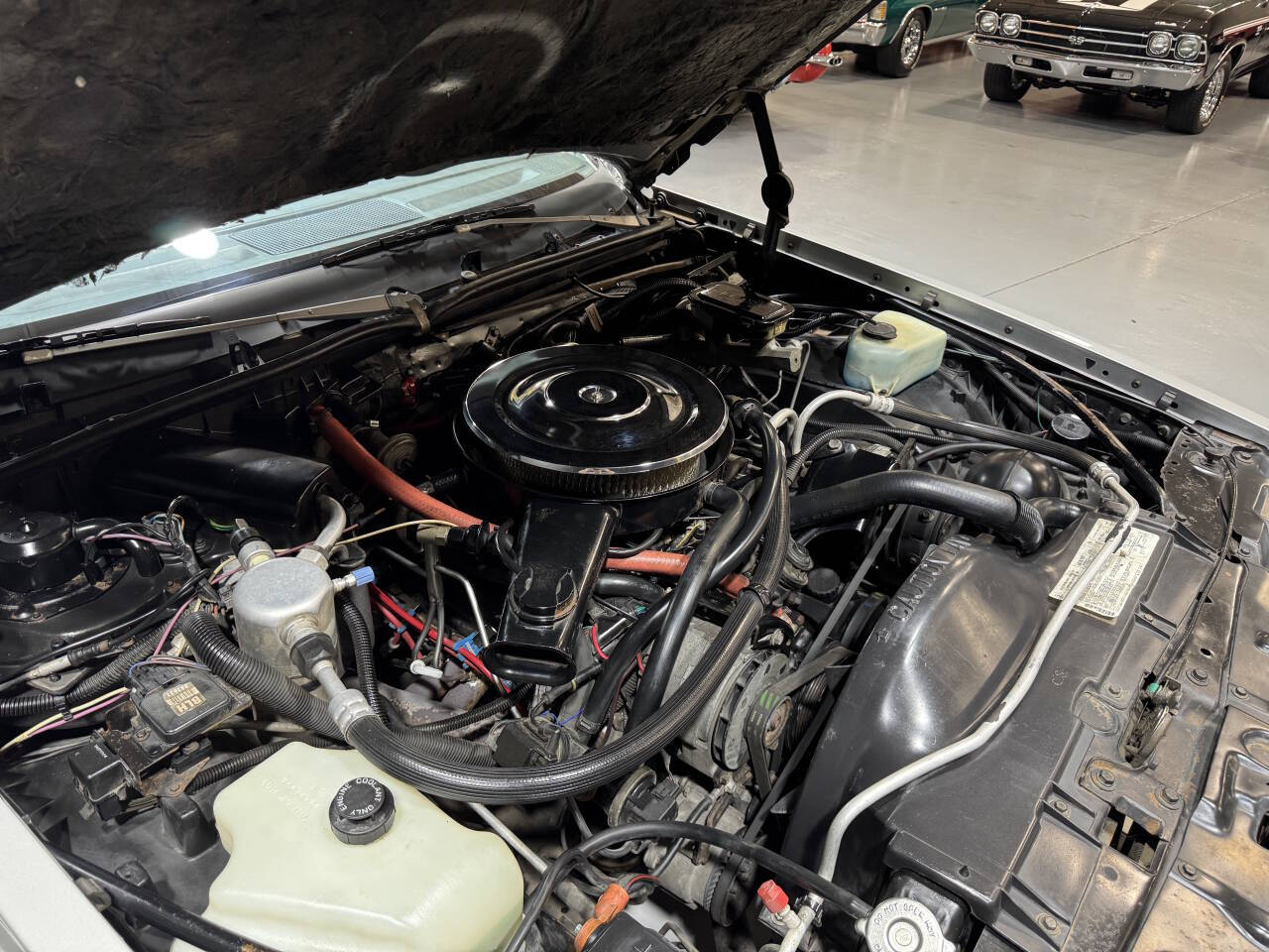 1986 Pontiac Grand Prix 35