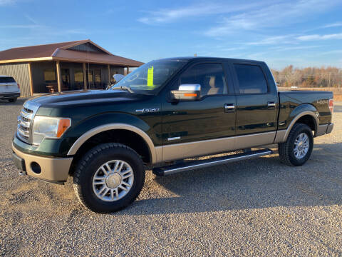 2013 Ford F-150 for sale at TNT Truck Sales in Poplar Bluff MO