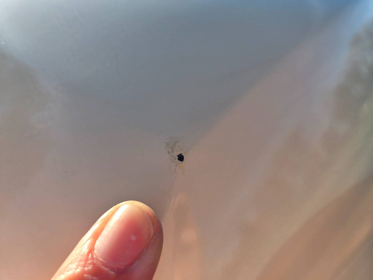 1984 Cadillac Seville 84