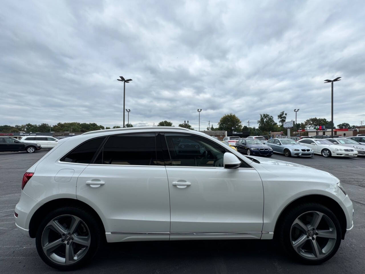 2014 Audi Q5 for sale at Opus Motorcars in Utica, MI