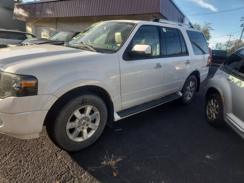 2010 Ford Expedition for sale at Maximum Auto Group II INC in Cortland OH