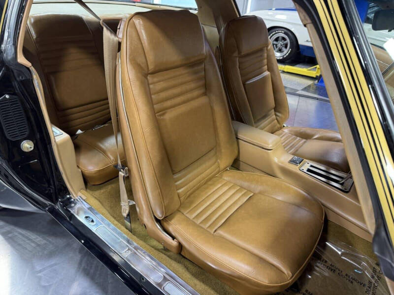 1981 Pontiac Firebird Trans Am