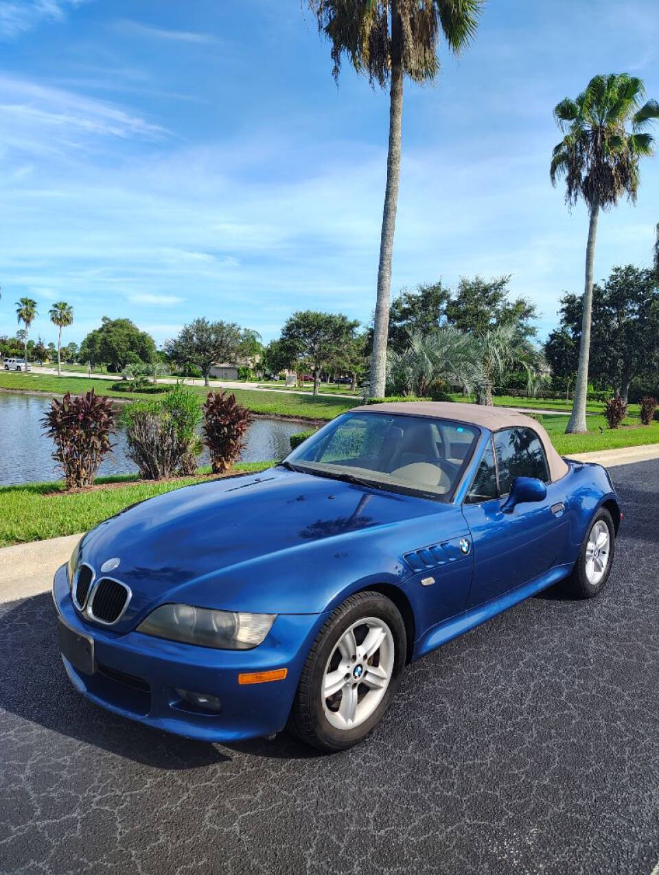 2001 BMW Z3 for sale at Amatrudi Motor Sports in Fort Pierce, FL