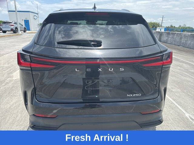 2024 Lexus NX 250