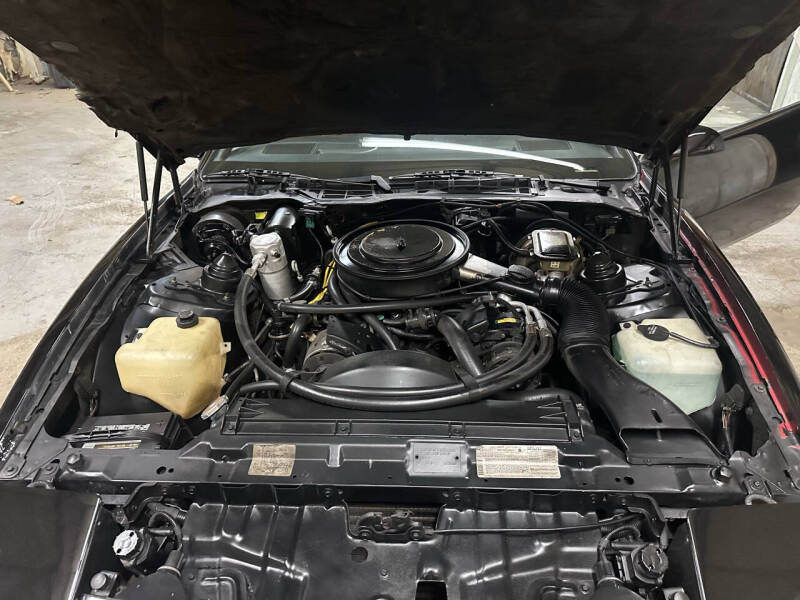1984 Pontiac Firebird SE