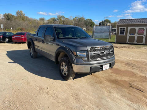 2009 Ford F-150