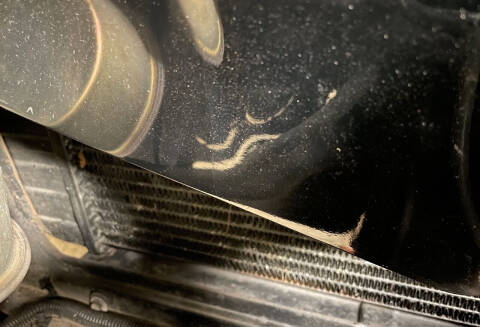 1980 Chevrolet Corvette