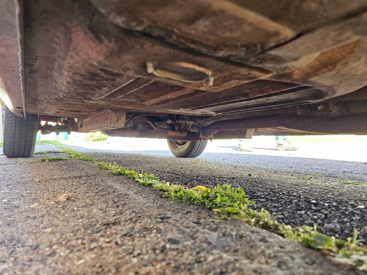 1964 Ford Mustang 221