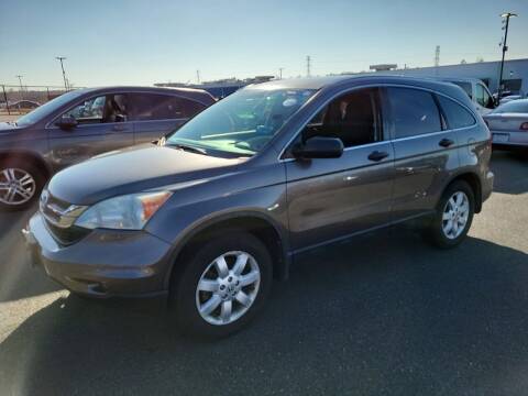 2011 Honda CR-V for sale at Hickory Used Car Superstore in Hickory NC