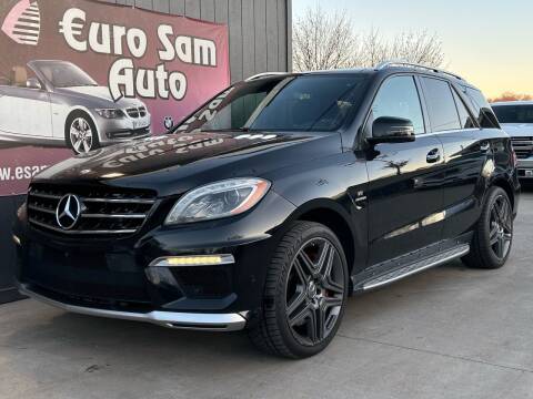 2014 Mercedes-Benz M-Class for sale at Euro Auto in Overland Park KS