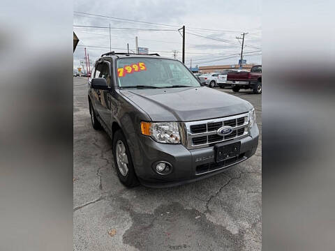 2010 Ford Escape XLT
