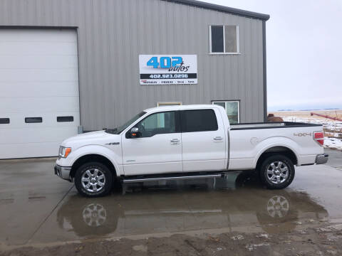 2014 Ford F-150 for sale at 402 Autos in Lindsay NE