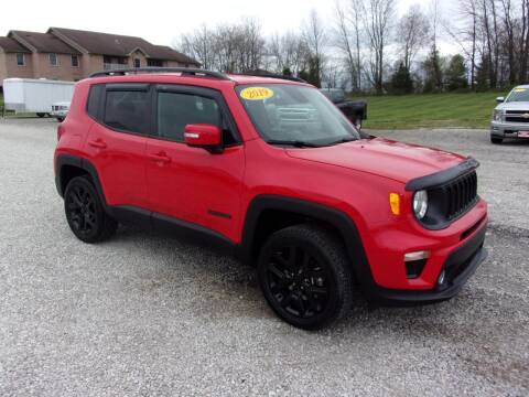 2019 Jeep Renegade for sale at BABCOCK MOTORS INC in Orleans IN