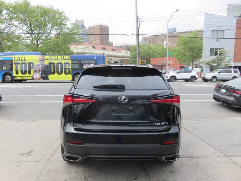 2019 Lexus NX 300
