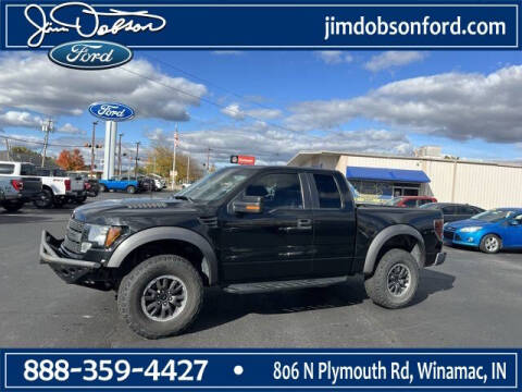 2010 Ford F-150 for sale at Jim Dobson Ford in Winamac IN