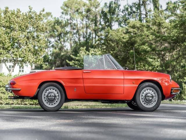 1966 Alfa Romeo Spider
