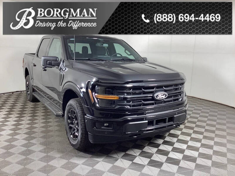 2024 Ford F-150 for sale at BORGMAN OF HOLLAND LLC in Holland MI