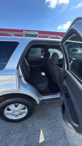 2011 Ford Escape XLT