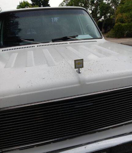 1976 Chevrolet C/K 20 Series